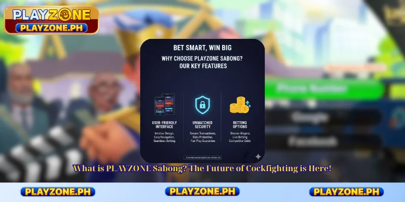 What is PLAYZONE Sabong? The Future of Cockfighting is Here!