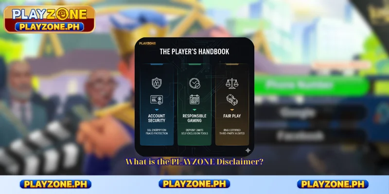 What is the PLAYZONE Disclaimer?