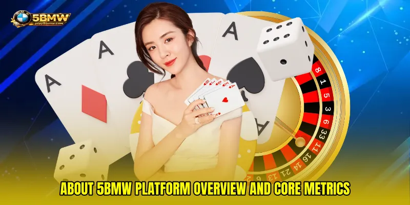 about 5bmw platform overview and core metrics
